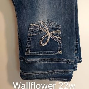Women's plus size jeans